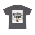 Morrisonville Louisiana 1870s